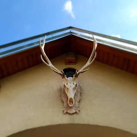 Steirerengel Holiday home